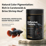 Premium Brine Shrimp & Spirulina Adhesive Fish Tablets (42% High Protein, Stick-On Feeding, 30g-280g Multi-Packs) - Color & Growth Feed for Guppies & Bettas | OEM Wholesale