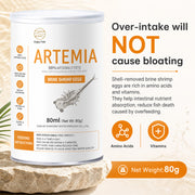 Decapsulated Artemia Cysts (98% Purity) - Factory Direct & OEM Wholesale